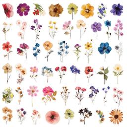 50/200 pçs transparente pet flor planta material adesivos manuais comprimidos telefone copos de água decoração estacionária caderno adesivos - Image 2