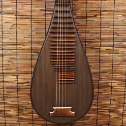 Instrumento de corda de lute chinesa de cinco cordas Pipa jogado profissionalmente imitação de painel Tang - Image 2