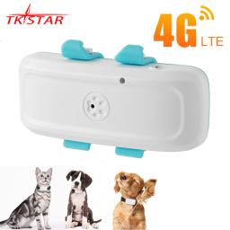 4g rastreador gps para animais de estimação 4g gps localizador tkstar mini gps rastreador 4g melhor cão rastreador gps com aplicativo gratuito ip67 à prova dip67 água - Image 1