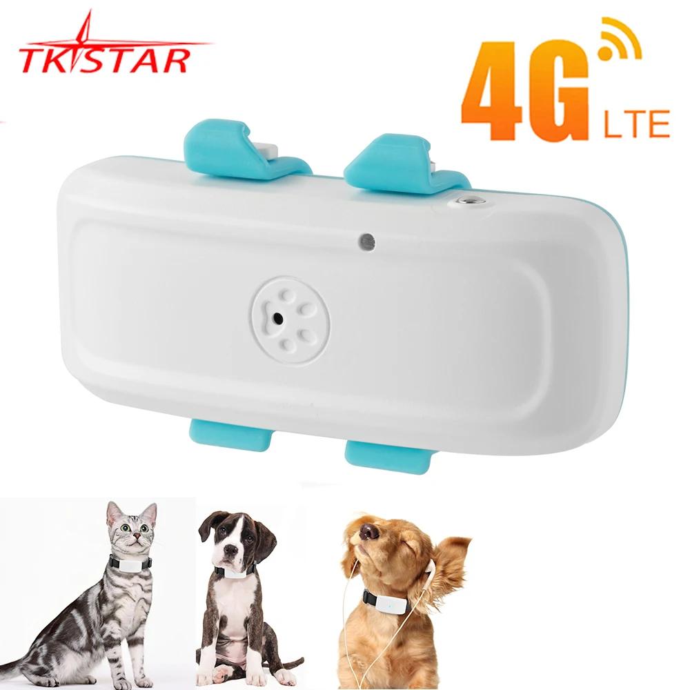 4g rastreador gps para animais de estimação 4g gps localizador tkstar mini gps rastreador 4g melhor cão rastreador gps com aplicativo gratuito ip67 à prova dip67 água