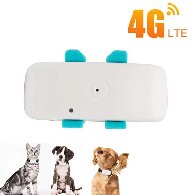 4g cão rastreador gps gato animal de estimação 4g localizador gps mini gps animais de estimação rastreador 4g gsm melhor cão rastreador gps com aplicativo gratuito à prova dip67 água ip67