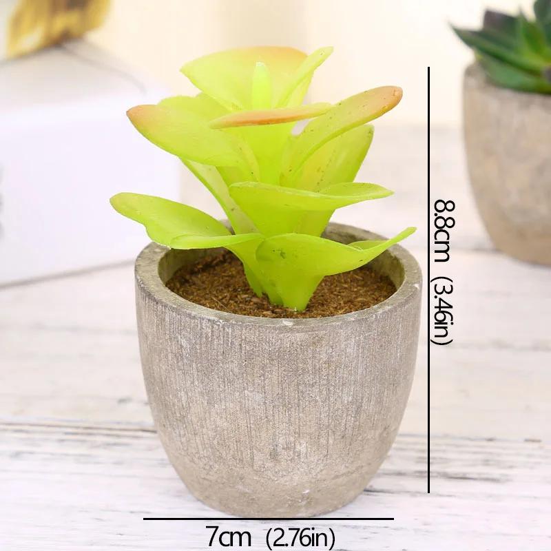 Mini plantas suculentas artificiais evergreen, pequenas plantas simuladas em vaso de árvore, flores falsas, enfeites de mesa de escritório, decoração de jardim doméstico - Image 1