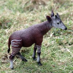 Simulação Javali Selvagem Okapi Gnu Africano Animal Figuras de Ação, Floresta Babirusa, Vida Selvagem Figurinhas, Brinquedo do miúdo Presente - Image 5