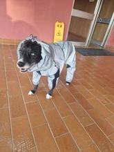 Foto enviada por cliente