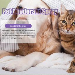 Pet Odor Remoção Spray, desodorante cão, urina Odor Eliminator, Natural Fragrância, Bacteriostase Ar fresco, Gatos Desodorante Líquido - Image 4
