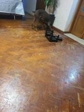 Foto enviada por cliente
