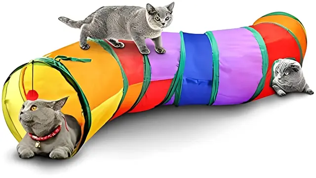 Túnel Labirinto Colorido para Gatos - Brinquedo Divertido para Pets pro 1