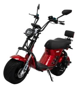 Pronta para envio Bicicleta Eletrica Duos Fx2 1000w Autonomia De 65km/h - Image 1