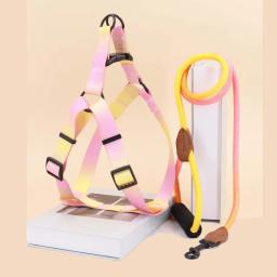 Conjunto de arnês de estimação colorido com trela e trela do cão, para uso interno e externo - Image 3