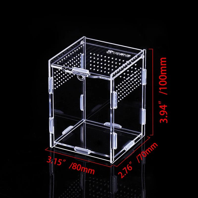 Caixa de reprodução de répteis acrílicos, terrário transparente, inseto, aranha, lagarto, escorpião, gaiola de alimentação, arbóreo - Image 1