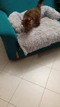 Foto enviada por cliente