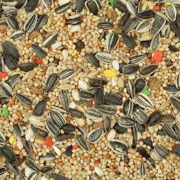 Ração para Agapornis e Ninfas Mix Vinci, Pássaros Alimentares, 1kg - Image 3