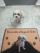 Foto enviada por cliente