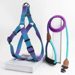 Conjunto de arnês de estimação colorido com trela e trela do cão, para uso interno e externo - Image 4