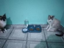 Foto enviada por cliente