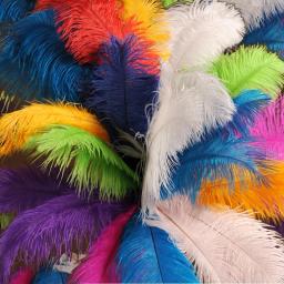 10 peças penas de avestruz pretas naturais para artesanato decoração de casa de casamento 15-20cm/25-30cm/30-35cm festa plumas de avestruz peça central - Image 3