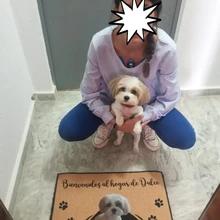 Foto enviada por cliente