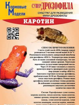 Alimentação para moscas droophila, para alimentação de répteis, rãs de dendrobates, bogomolos, formigas, hexons, terracota - Image 1