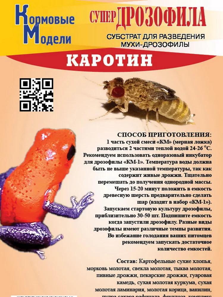 Alimentação para moscas droophila, para alimentação de répteis, rãs de dendrobates, bogomolos, formigas, hexons, terracota - Image 1