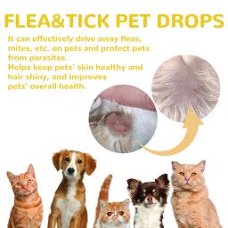 Antiparasagainst pulga e tártaro remoção gotas para Pet, Piolhos coceira, Pet líquido piolhos, Cuidados com a pele, Dog Flea Killer, Controle - Image 3