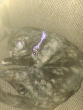 Foto enviada por cliente