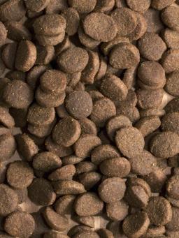 Ração para cães seca procalance dieta gourmet carne e coelho, com carne e coelho 15 kg. - Image 5