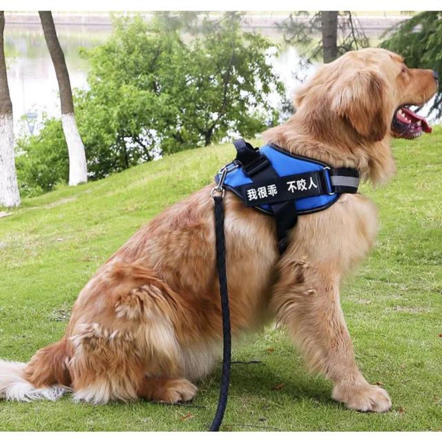 Coleira Peitoral para Cachorros Police K9: Ideal para Treinamento e Passeio com Estilo e Conforto