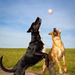 Mini Bolas Esportivas para Crianças e Adultos, Bolas Antiestresse, Bolas de Espuma, Bola de Estresse, Softball, Futebol, Adultos, Pacote de 12 - Image 5