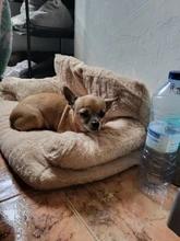 Foto enviada por cliente
