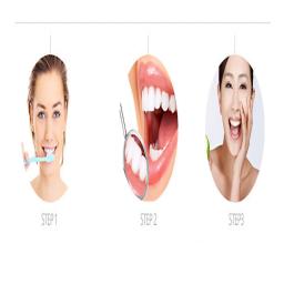 Escova de dente elétrica 6 modos de trabalho Recarregável Qualidade - Image 6