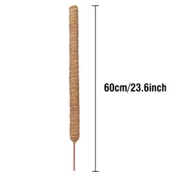 Conjunto de pólos de musgo altos com cordas de juta naturais, suportes de plantas duráveis para Monstera, Sphagnum e Pothos, Pack 2 - Image 4