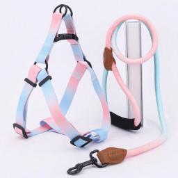 Conjunto de arnês de estimação colorido com trela e trela do cão, para uso interno e externo - Image 2