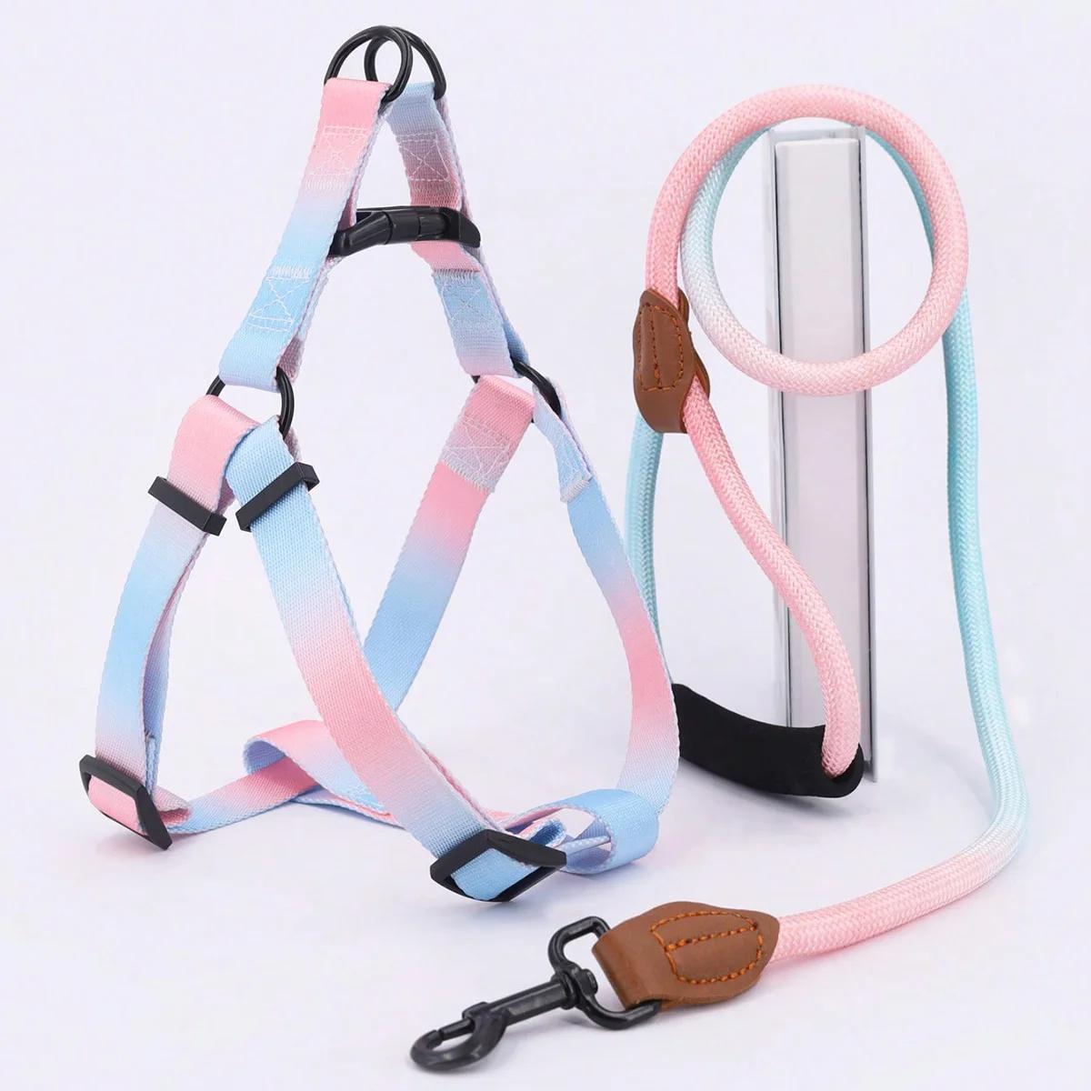 Conjunto de arnês de estimação colorido com trela e trela do cão, para uso interno e externo - Image 1
