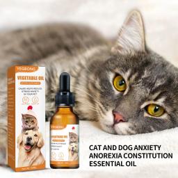 Óleo essencial orgânico para animais de estimação, calmante duradouro, apaziguador do estresse, melhorar o apetite, melhorar a aptidão física, gato e cão - Image 4