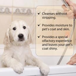 Pet Wash Shampoo para Cães Cabelo, Remove ácaros, Flea Killer, Remove odores, Desodorizante, Coceira, Anti Flea, Hidratante - Image 4
