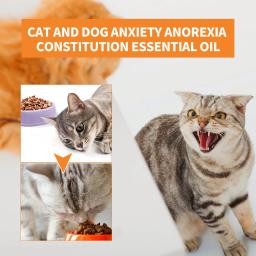 Óleo essencial orgânico para animais de estimação, calmante duradouro, apaziguador do estresse, melhorar o apetite, melhorar a aptidão física, gato e cão - Image 6