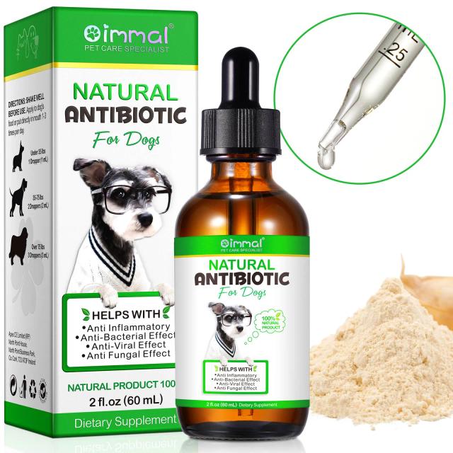Antibióticos Naturais para Cães: Alívio Eficaz de Alergias e Coceiras com Suporte Multivitamínico e Anti-inflamatório