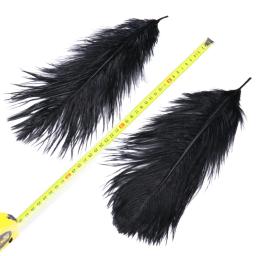 10 peças penas de avestruz pretas naturais para artesanato decoração de casa de casamento 15-20cm/25-30cm/30-35cm festa plumas de avestruz peça central - Image 4