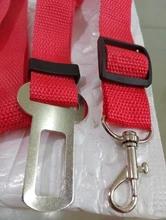 Foto enviada por cliente