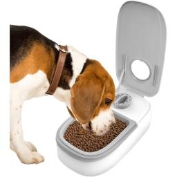 Alimentador Comedouro Duplo Temporizador Ração Agua 2 Em 1 Cachorro Gato Pet - Image 2