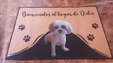 Foto enviada por cliente