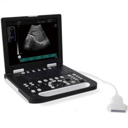 Canine portátil ultrassom pet sonar scanner cão útero gato gravidez teste feto tela led portátil doença pet hospital novo - Image 1