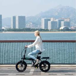 Bicicleta elétrica dobrável para adultos, E-Bike com bateria removível, bicicleta de pneu com gordura 16 × 3.0, motor 500W, 36V, 12Ah - Image 6