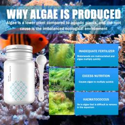 Agente Repelente De Algas Para Limpeza Do Tanque De Peixes, Repelente De Algas, Musgo e Removedor De Odores, Água Purify, Aquário Controle De Algicide - Image 2