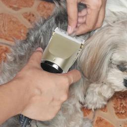 Máquina Clipper cabelo cão estimação - Image 3