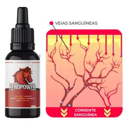Feno Power Gitas, FenoPower Vitaminas Mineral Poderoso - Image 3