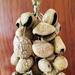 Juju Chacha Pangi Hand Bell, Chocalho De Sementes, Acessórios De Percussão - Image 4