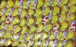 Kit Com 6 Pintinho Amarelinho Galinha Pintadinha Corda Festa - Image 2