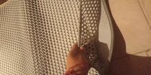 Foto enviada por cliente
