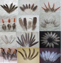 Plumas! Natural Penas De Faisão Para Artesanato, Acessórios De Jóias, Decoração De Férias De Natal, Opcional, De Alta Qualidade, 10Pcs - Image 2